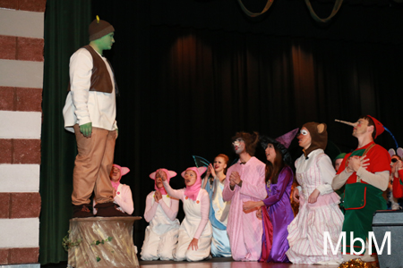 20131112 shrek dress 077