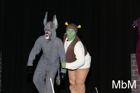 20131112 shrek dress 220