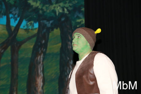 20131112 shrek dress 224