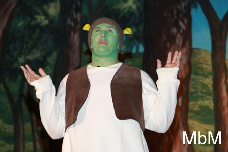 20131112 shrek dress 272