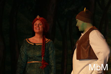 20131112 shrek dress 274