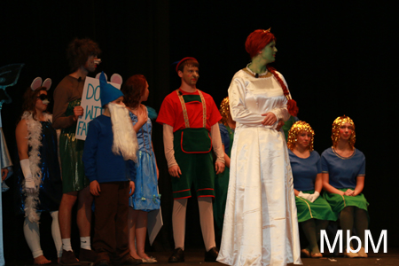 20131112 shrek dress 372