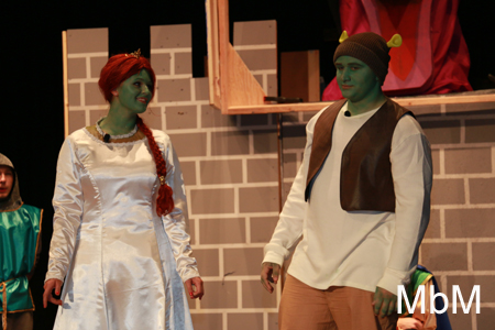 20131112 shrek dress 380