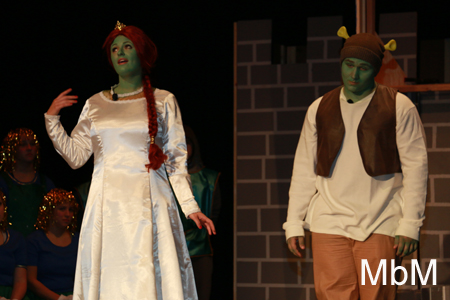 20131112 shrek dress 384