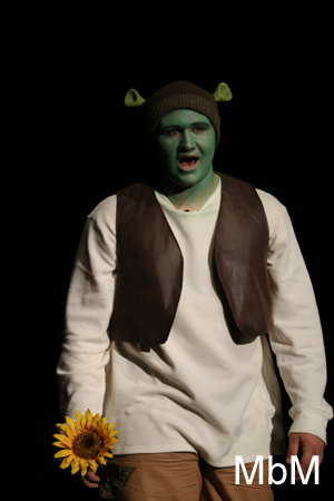 20131112 shrek dress 519