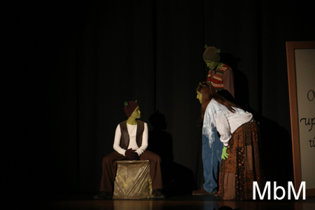 20131115 shrek 023