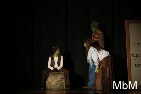 20131115 shrek 024