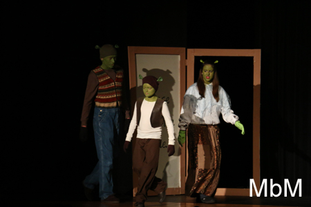 20131115 shrek 026