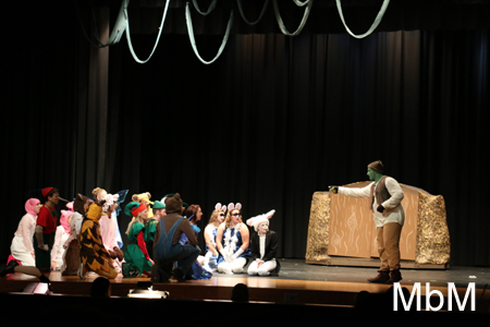 20131115 shrek 125