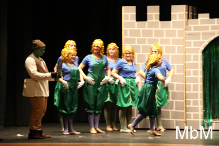 20131115 shrek 339