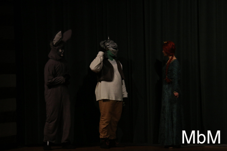 20131115 shrek 594