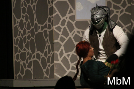 20131116 shrek 325