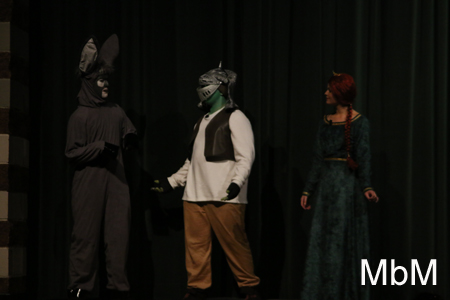 20131116 shrek 344