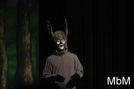 20131116 shrek 356