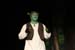 20131116 shrek 349