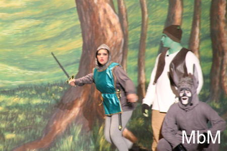 20131117 shrek 044