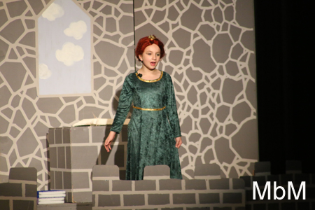 20131117 shrek 078