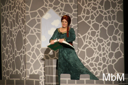 20131117 shrek 084