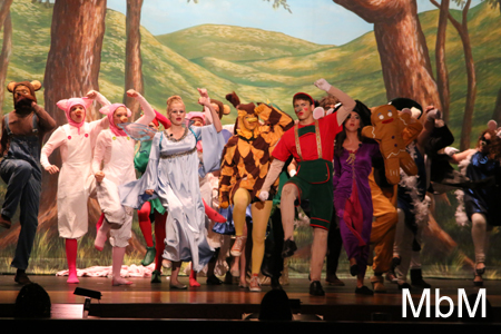 20131117 shrek 222